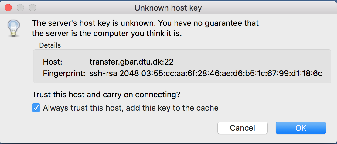 filezilla ssh